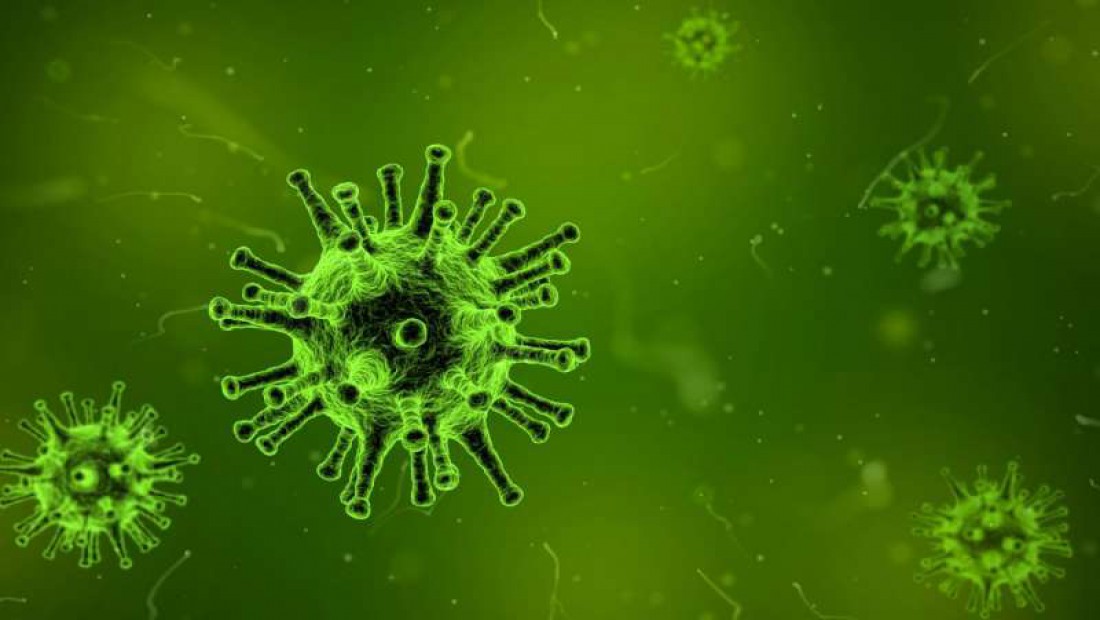 Virus-2.jpg Virus-2.jpg